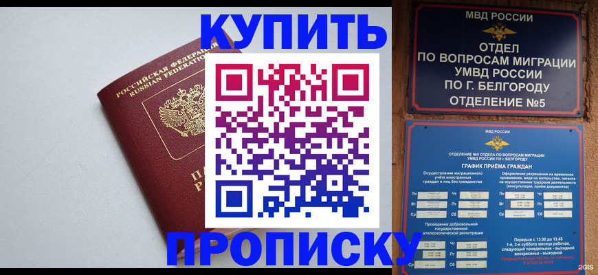 прописка регистрация в Ярославской области